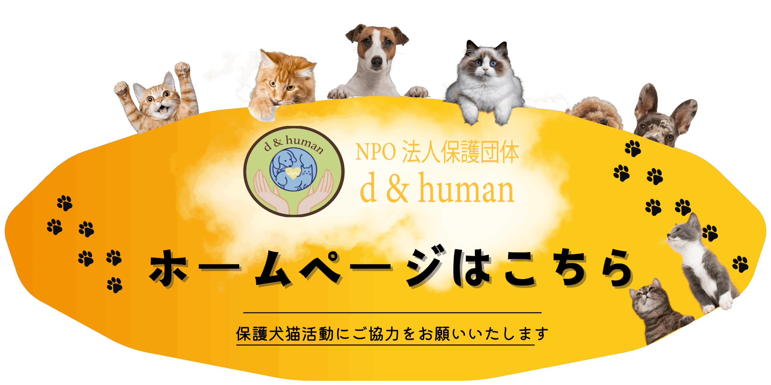 丸ボタン